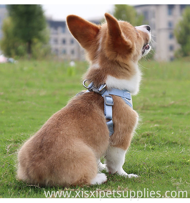Wholesale Fashion Dog Harness And Leash